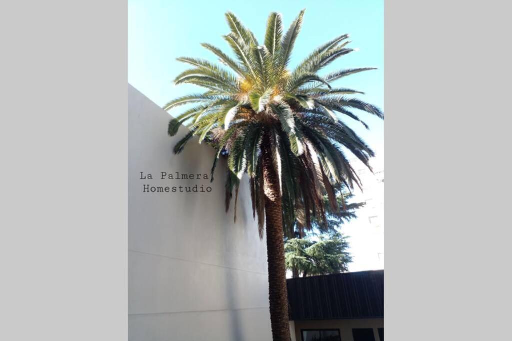 La Palmera Homestudio. Hermoso Apartamento En El Corazon De Palermo Hollywood Buenos Aires Extérieur photo